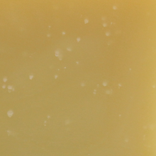 Load image into Gallery viewer, Head-to-Toe Shampoo Bar